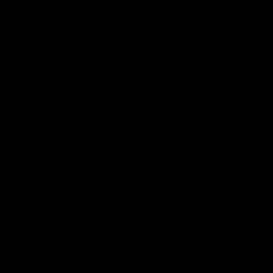 Meet your Posher, Brady